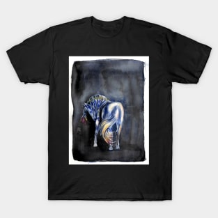 shadow dancer T-Shirt